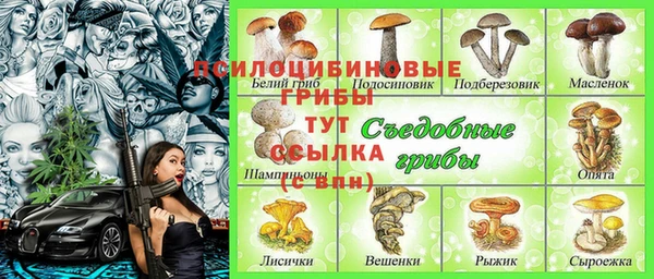 индика Переславль-Залесский