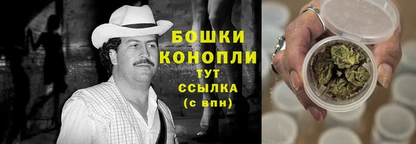 эйфоретик Дубна