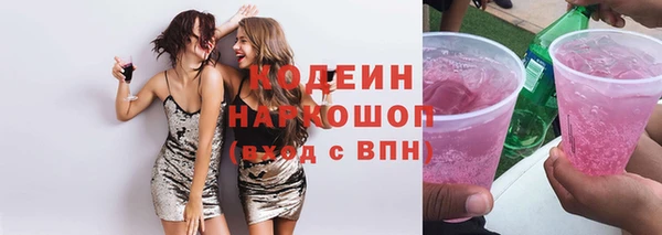 индика Переславль-Залесский
