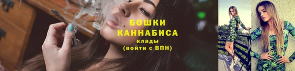 индика Переславль-Залесский