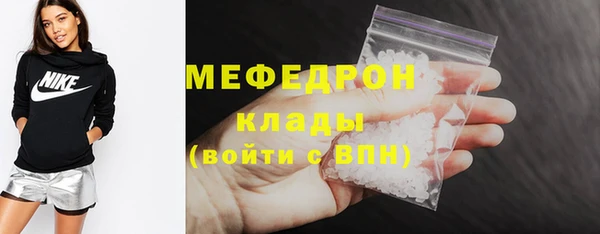 индика Переславль-Залесский