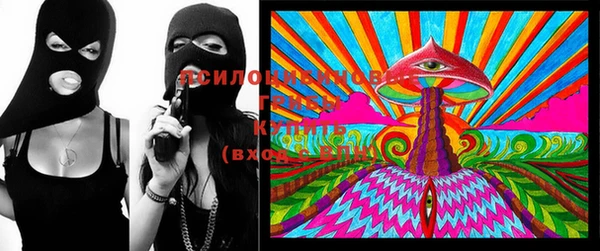 индика Переславль-Залесский