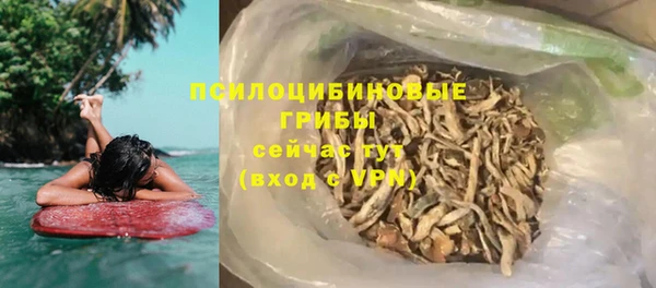 индика Переславль-Залесский