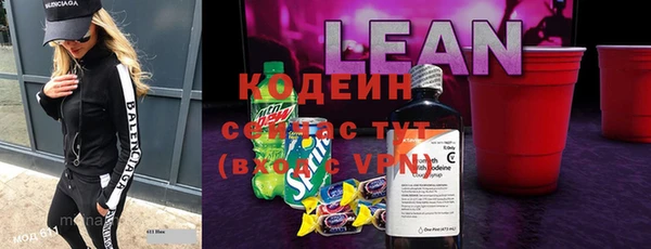 индика Переславль-Залесский
